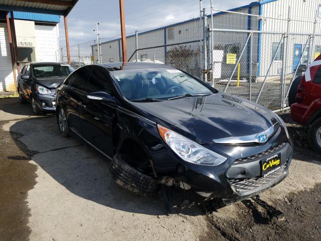 2013 hyundai sonata hyb