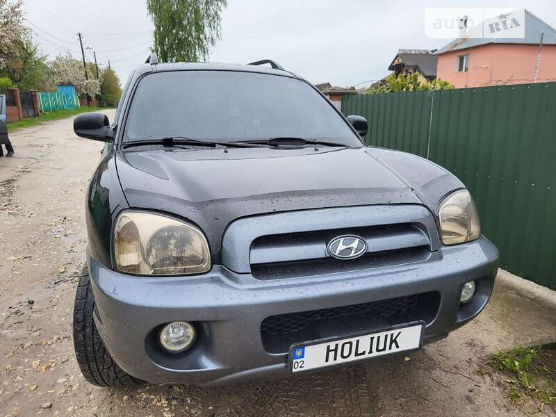 2004 hyundai santa fe