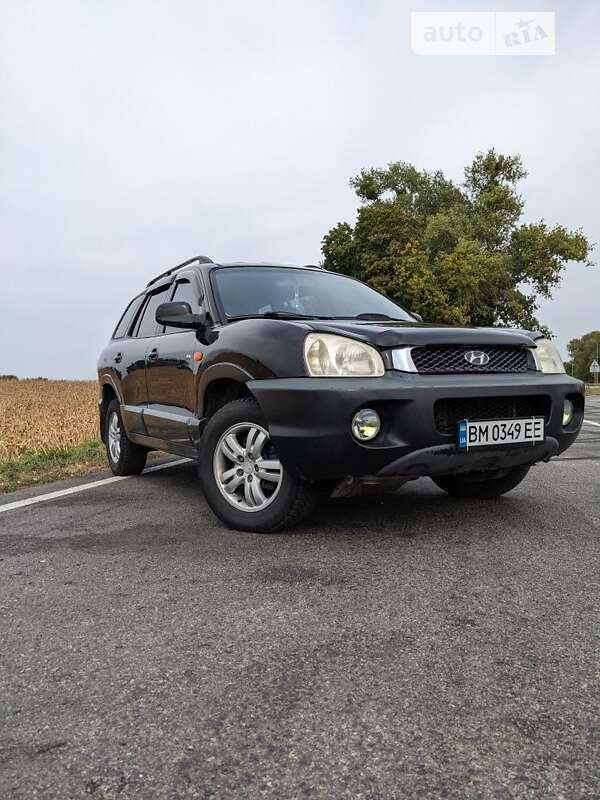 2004 hyundai santa fe
