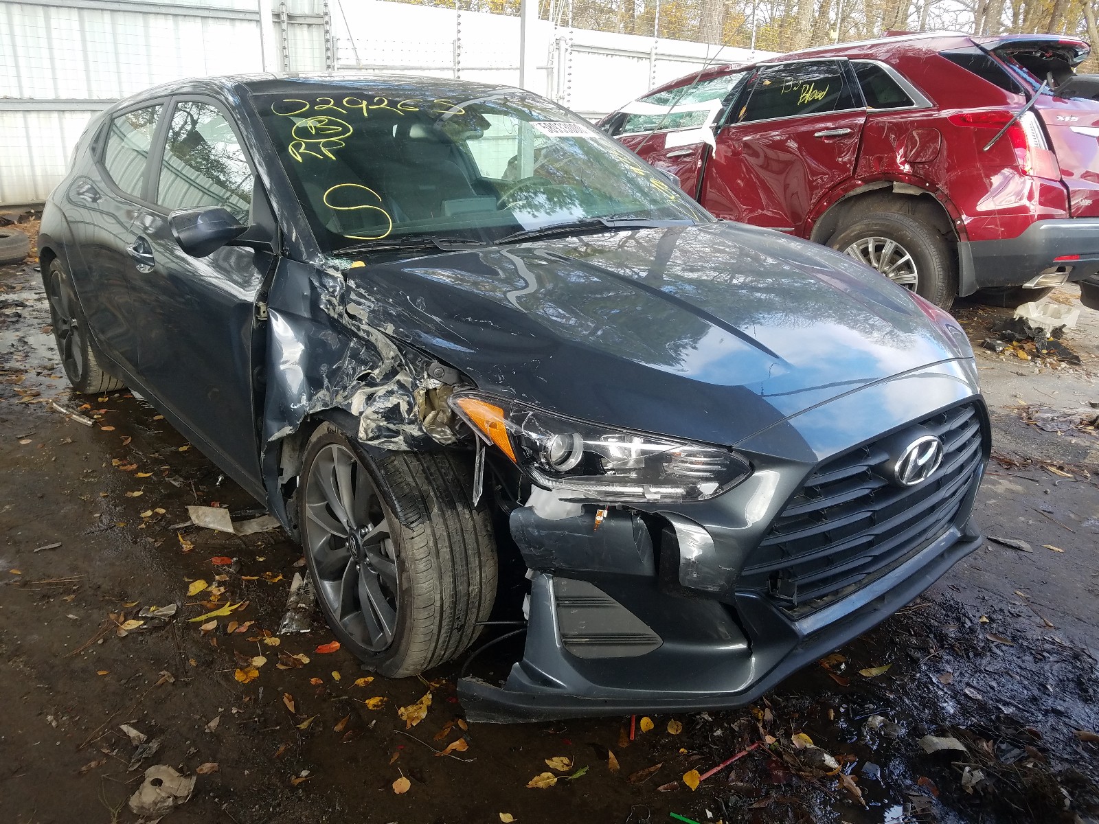 2019 hyundai veloster b