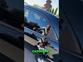 2011 kia cerato