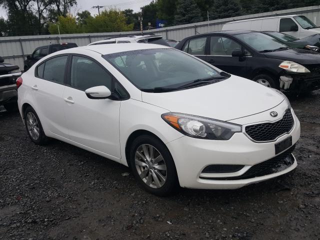 2014 kia forte