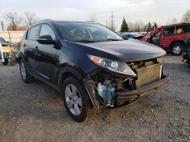 2013 kia sportage b