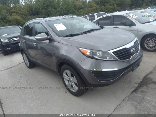 2013 kia sportage