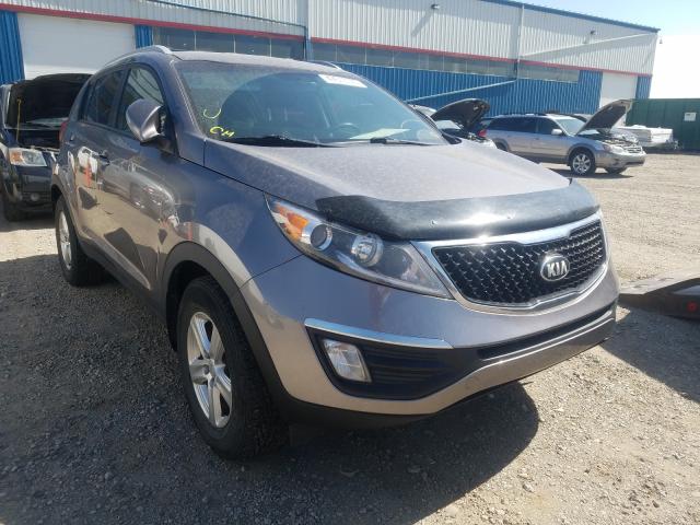 2014 kia sportage