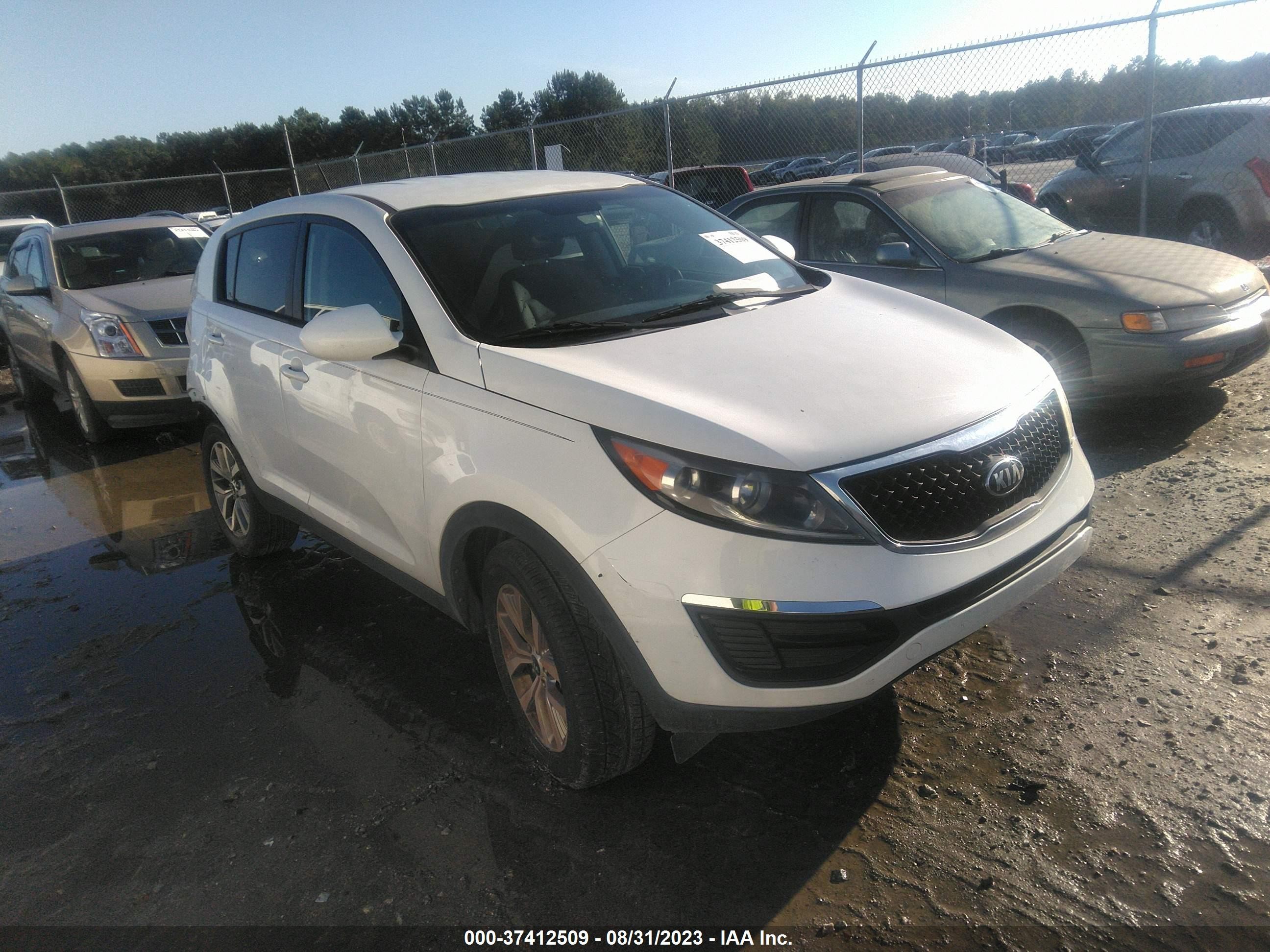 2015 kia sportage