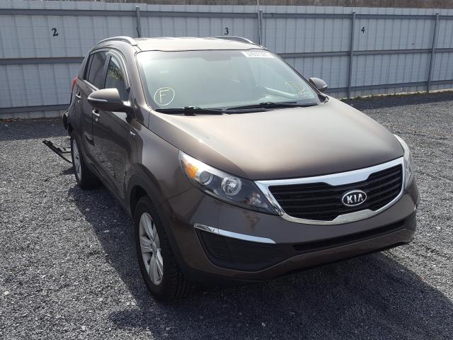 2011 kia sportage l