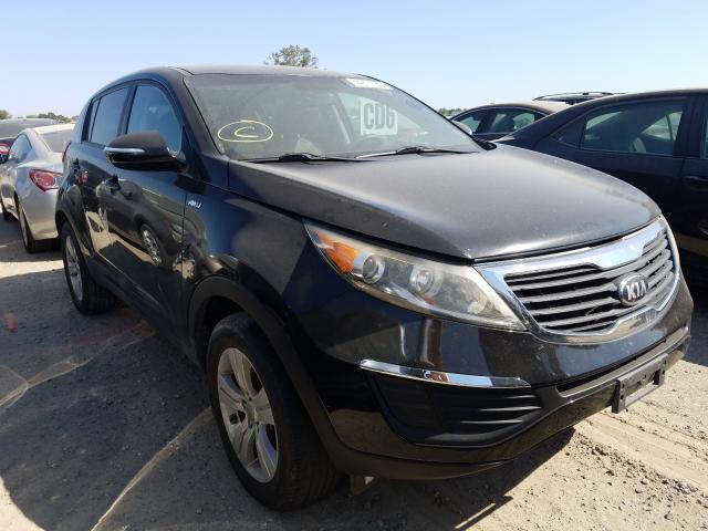 2013 kia sportage l