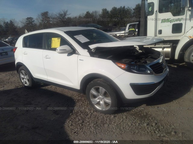 2013 kia sportage