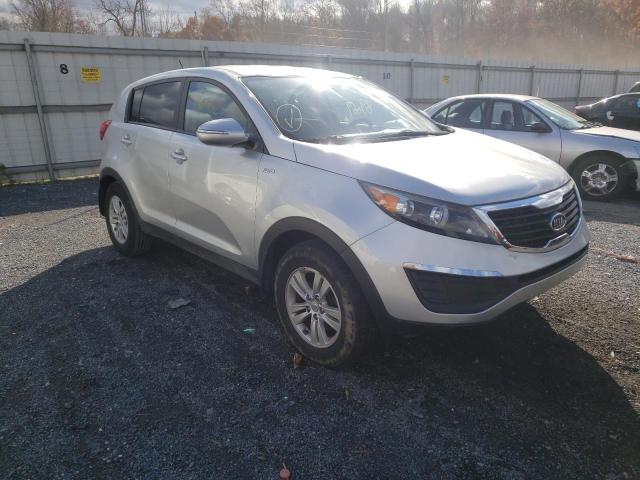 2010 kia sportage