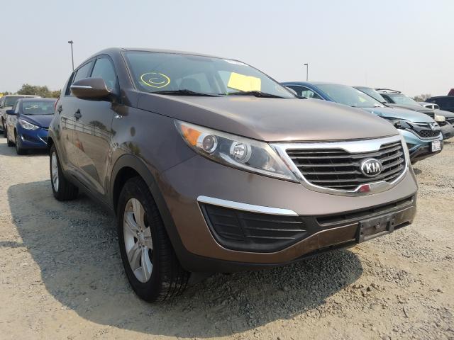 2013 kia sportage l
