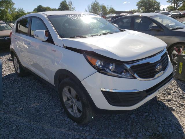 2013 kia sportage l