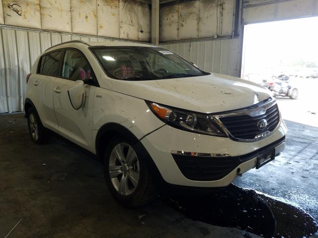 2013 kia sportage