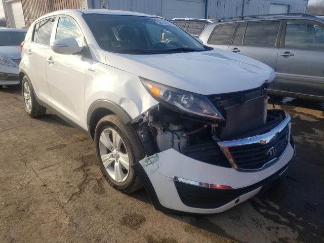 2013 kia sportage l