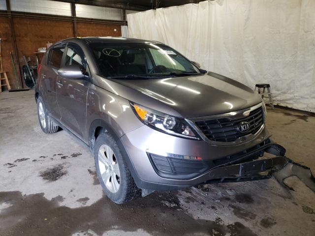2013 kia sportage
