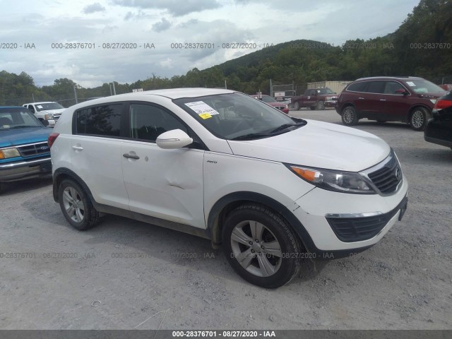2013 kia sportage
