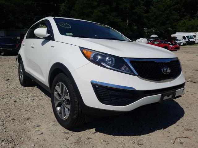 2014 kia sportage