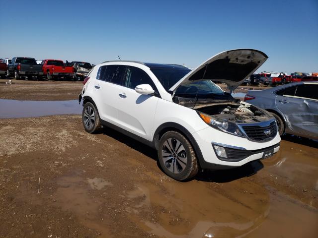 2013 kia sportage