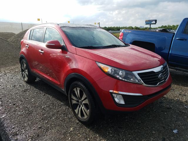 2011 kia sportage