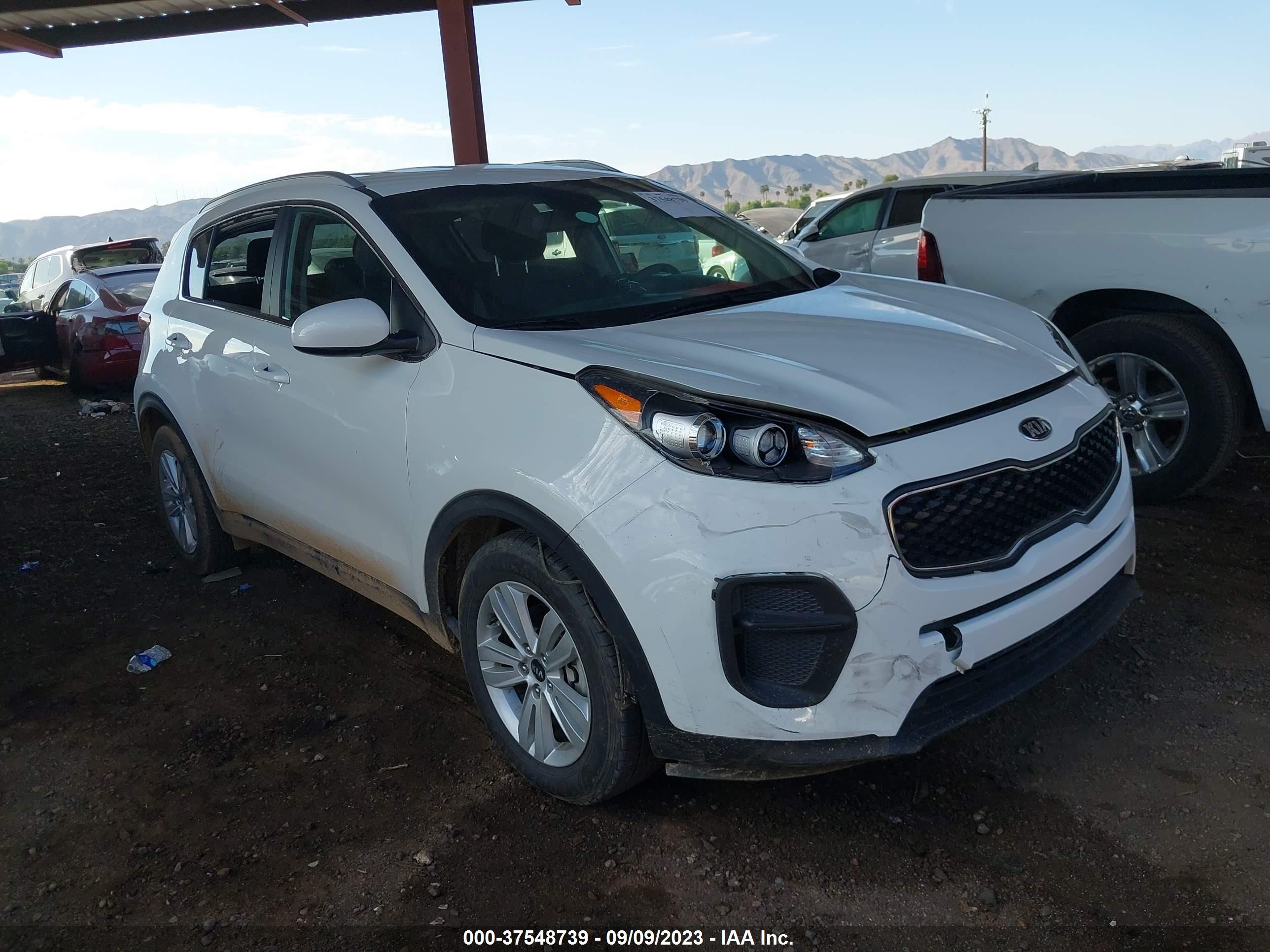 2019 kia sportage