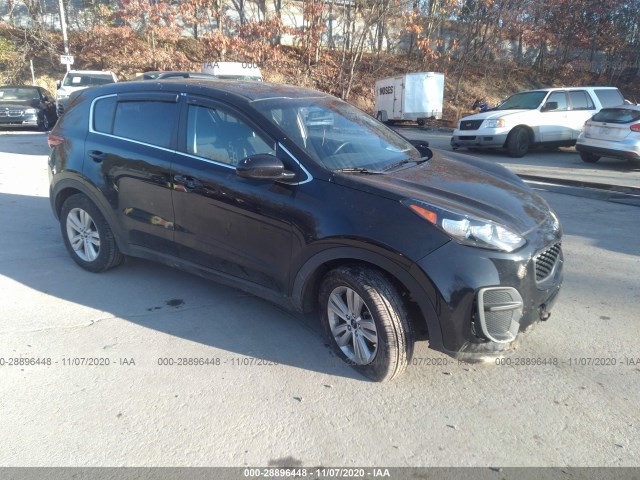 2017 kia sportage