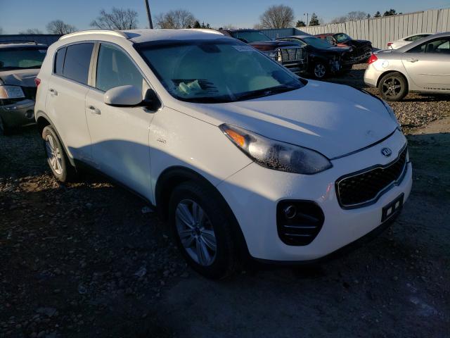 2017 kia sportage l