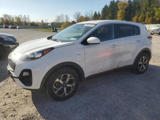 2019 kia sportage l