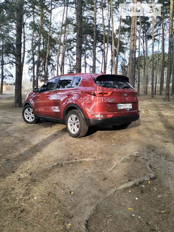 2017 kia sportage