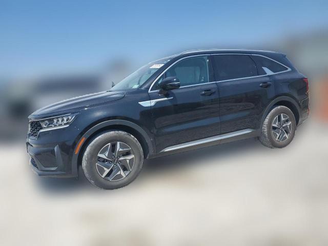 2022 kia sorento