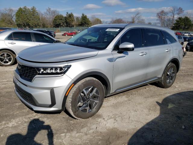 2022 kia sorento