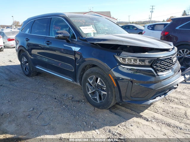 2022 kia sorento