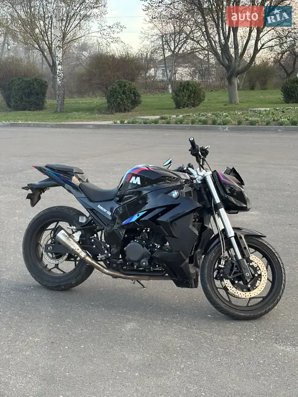 2024 rider rodster 250