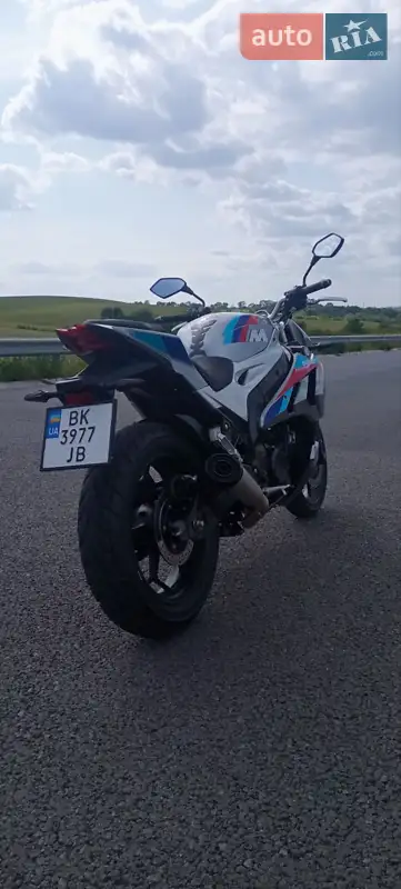 2024 rider rodster 250
