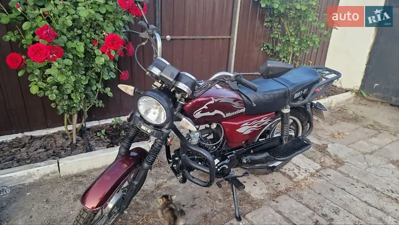 2023 musstang mt125-2