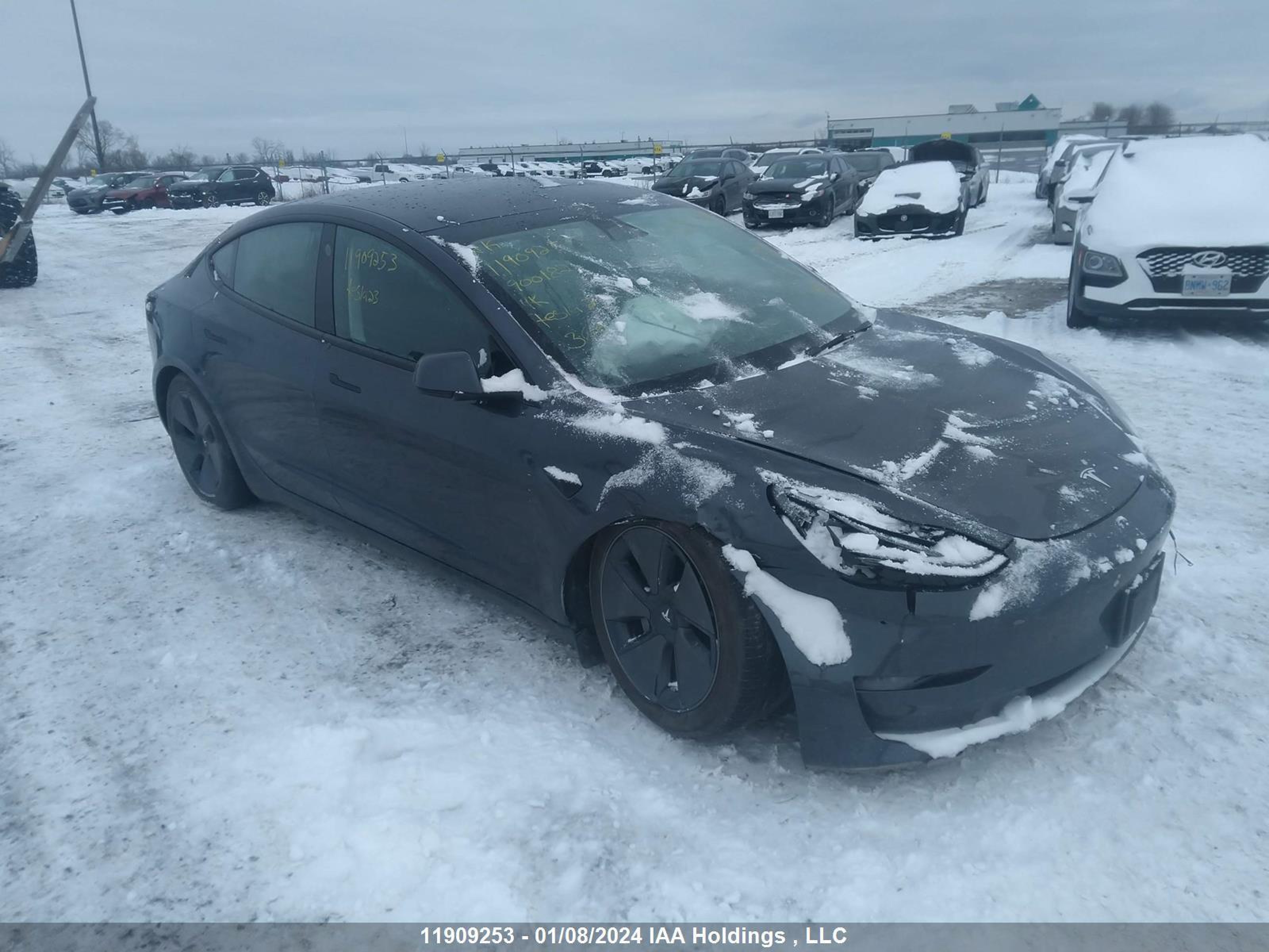 2023 tesla model 3