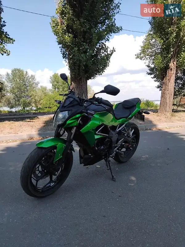 2016 kawasaki 250