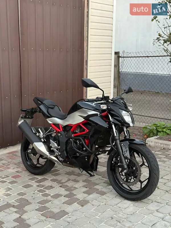 2018 kawasaki br-250ejf