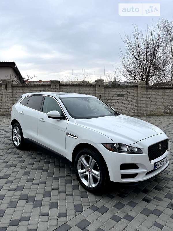 2019 jaguar f-pace