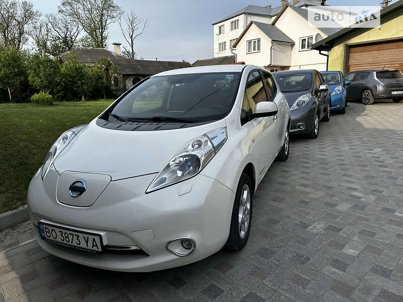 2013 nissan leaf
