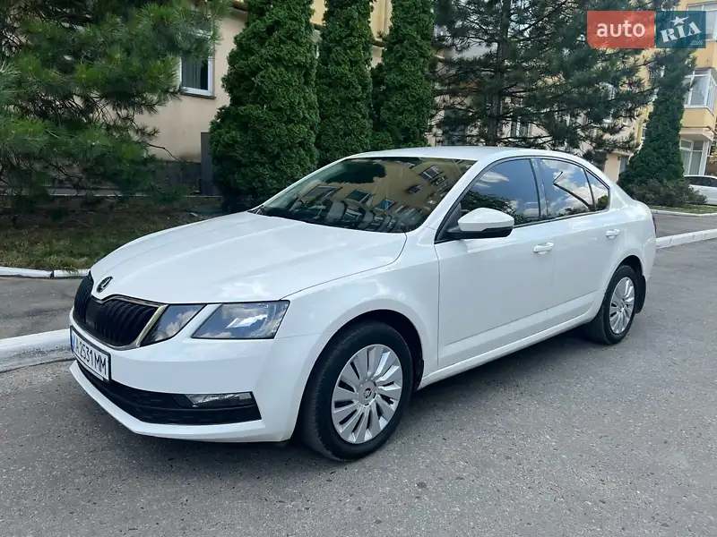 2019 skoda octavia