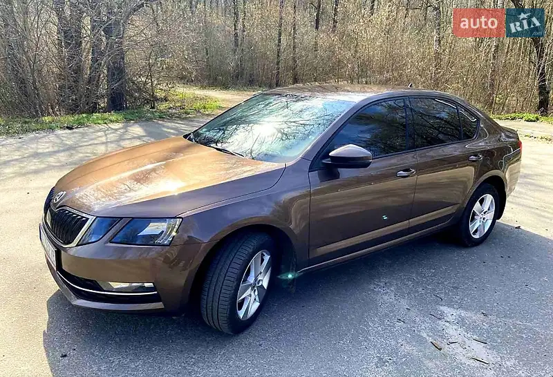 2019 skoda octavia