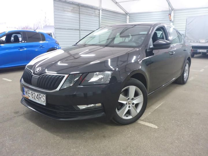 2017 skoda octavia