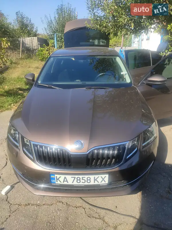 2019 skoda octavia