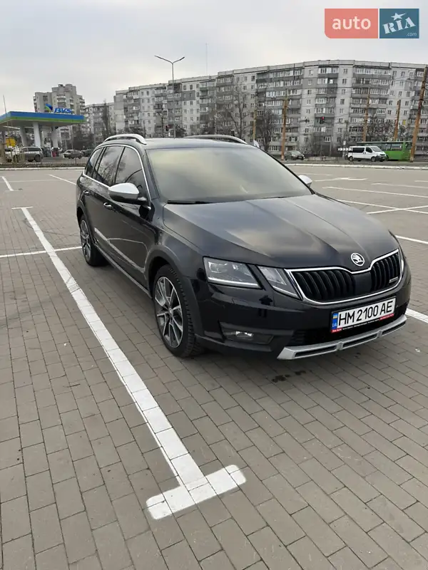 2019 skoda octavia