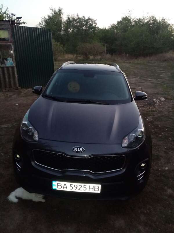 2017 kia sportage