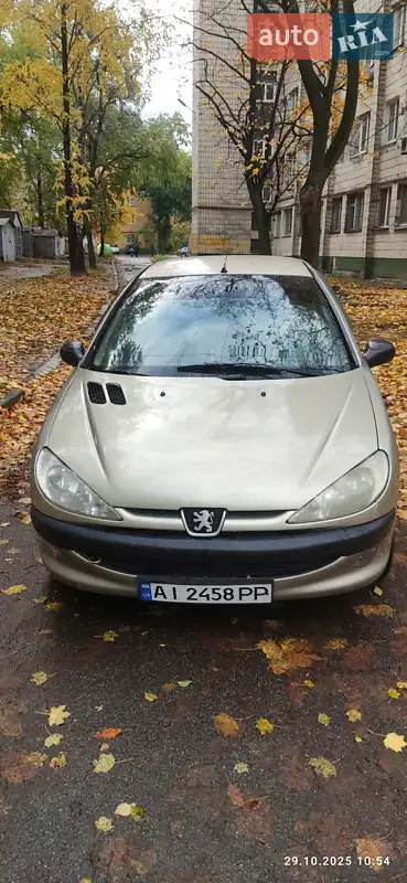 2007 peugeot 206