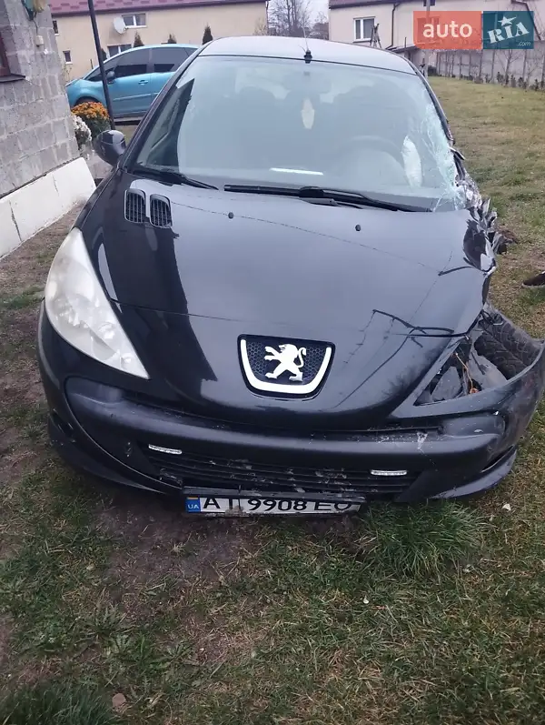2010 peugeot 206