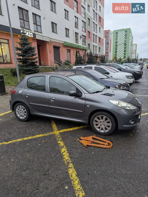2010 peugeot 206
