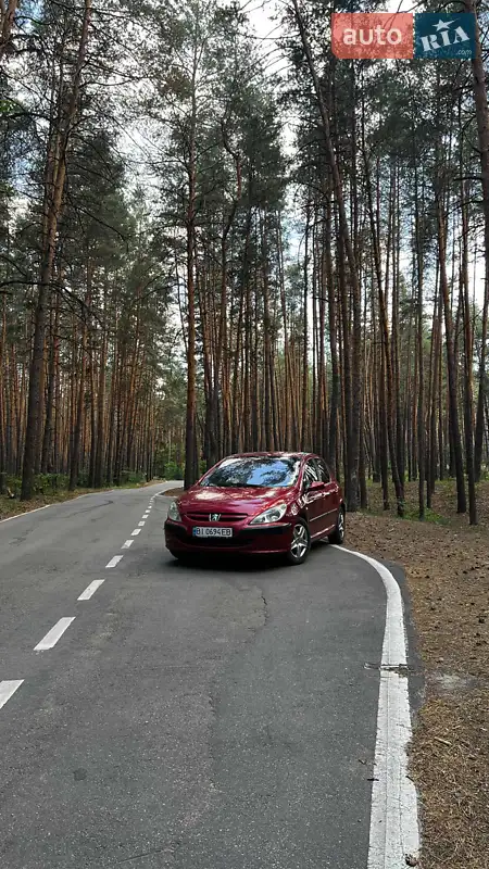 2004 peugeot 307