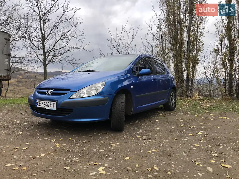 2004 peugeot 307